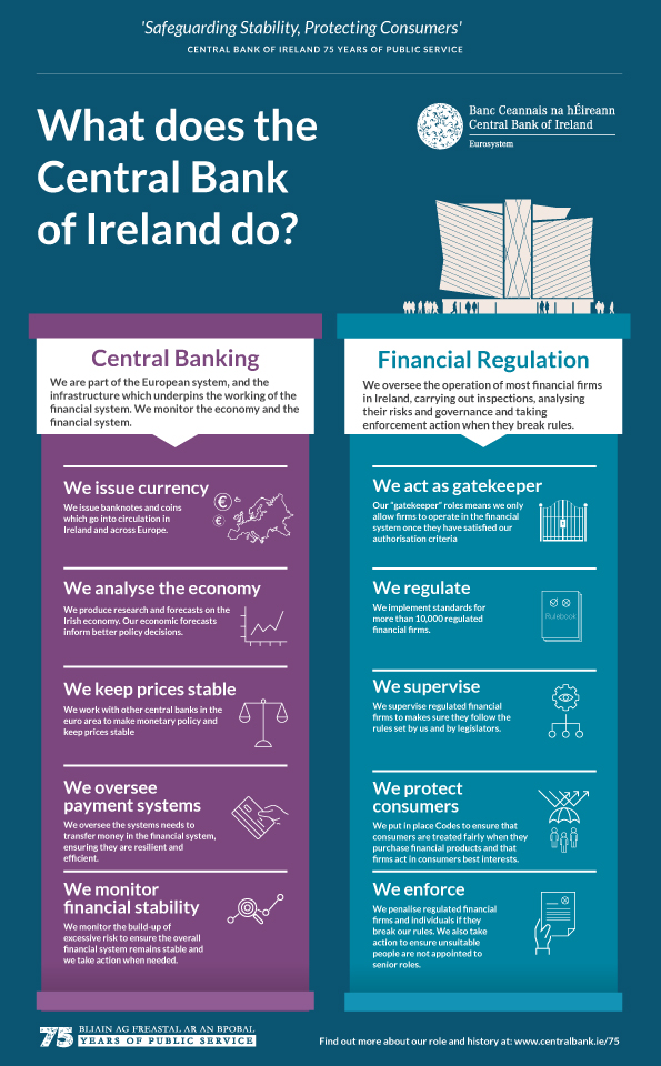 What does the Central Bank of Ireland do?