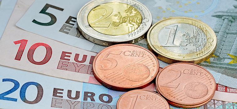 Euro banknotes and coins