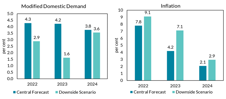 Modified Domestic Demand and Inflation in the Central forecast and Downside Scenario (annual avarages)