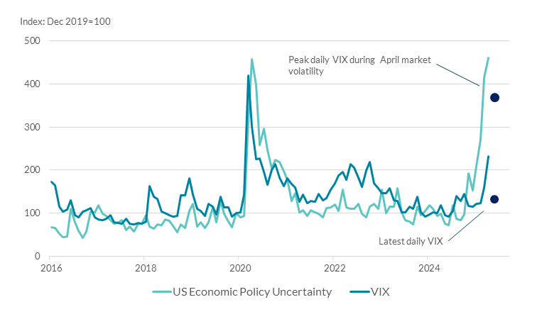 Ireland is more sensitive to a shock to US financial conditions than the EA overall. This spiked in 2020/2021 for both variables and again in 2025 for US economic policy uncertainty