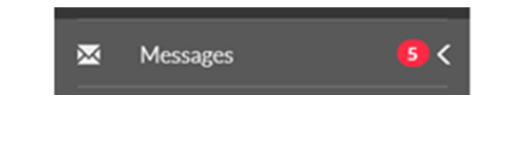 The sidebar navigation menu with a circular badge showing “5” next to the Messages menu item.
