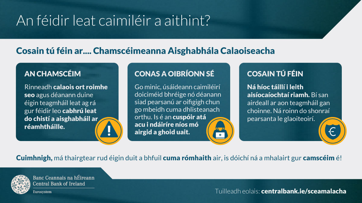 Scams Infographic Fraud