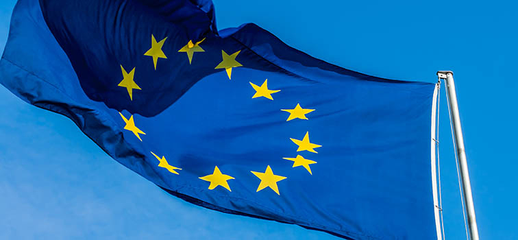 European Union flag European Union flag
